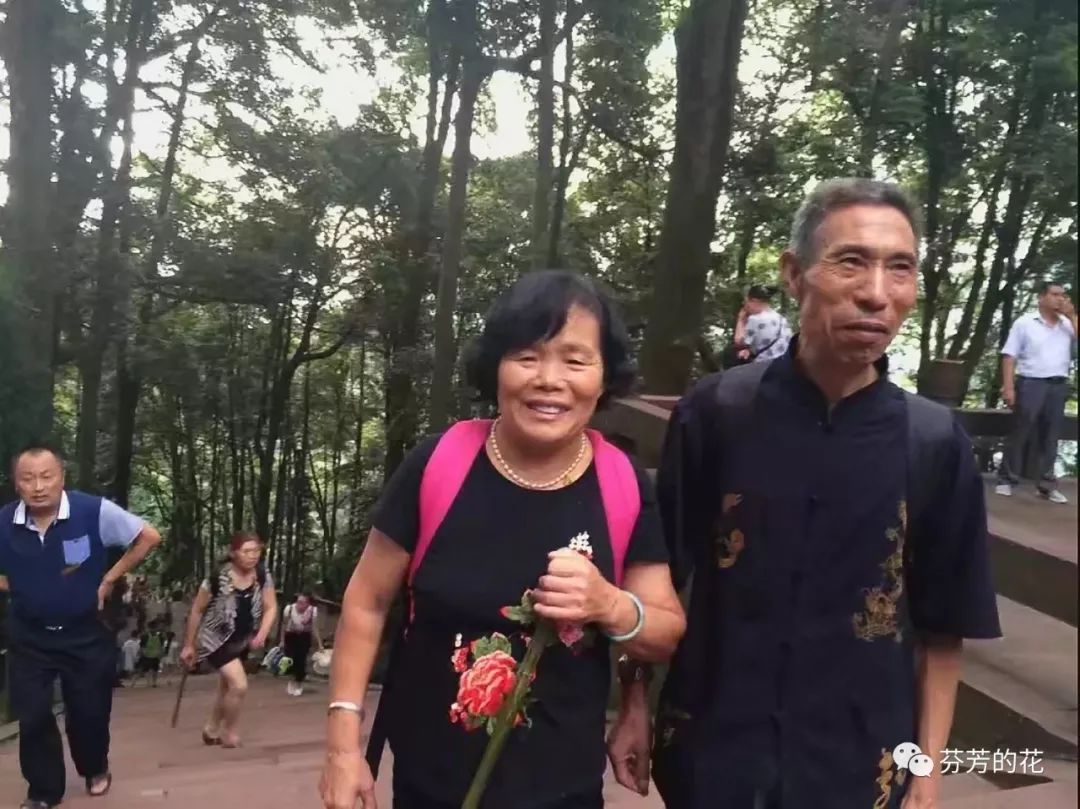 生老病死花落花开,生老病死花开花落