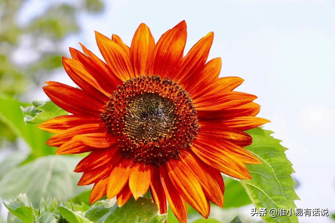 你想要的福利：快乐宝地，美丽倾心！这个便宜你占不占？