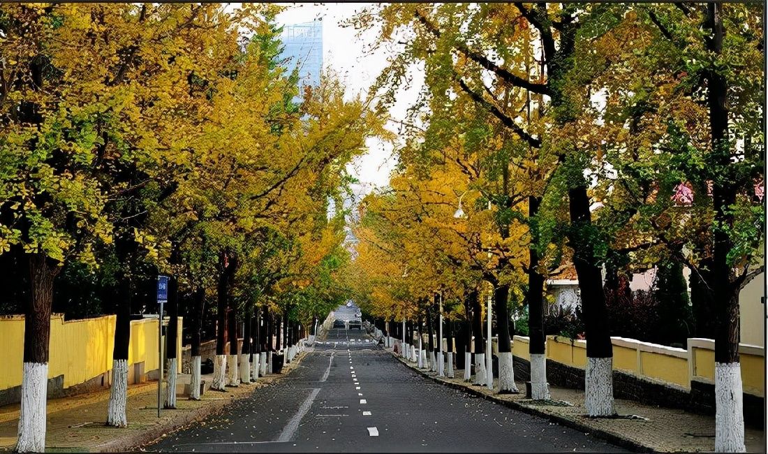 可免费玩街机和fc的有趣网站,能玩fc的街机