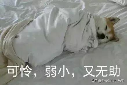 天猫出售假货商家会受到怎样处罚,天猫旗舰店卖假货怎么处罚