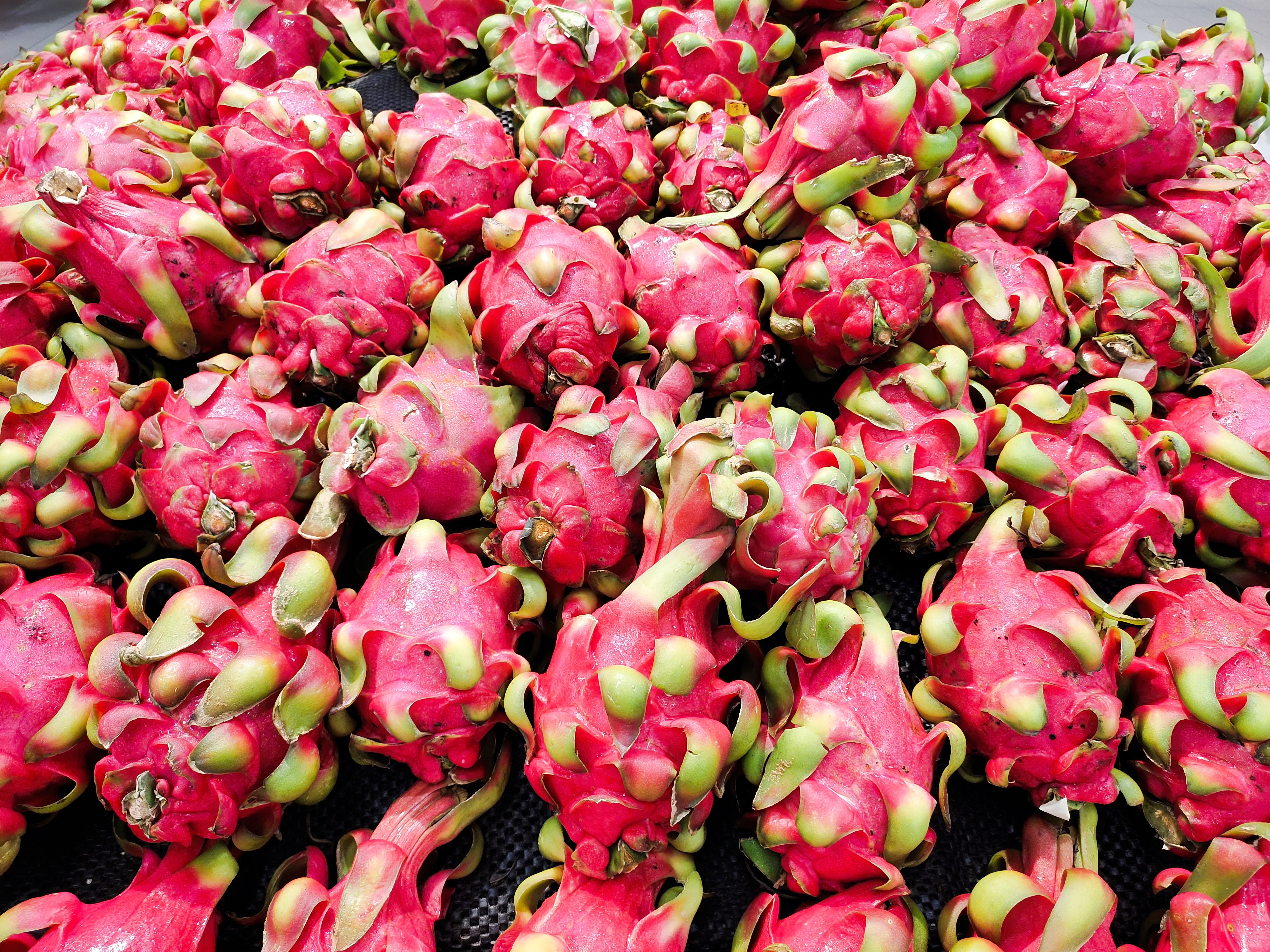 vivoz5价格为什么便宜,vivoz5值得入手吗