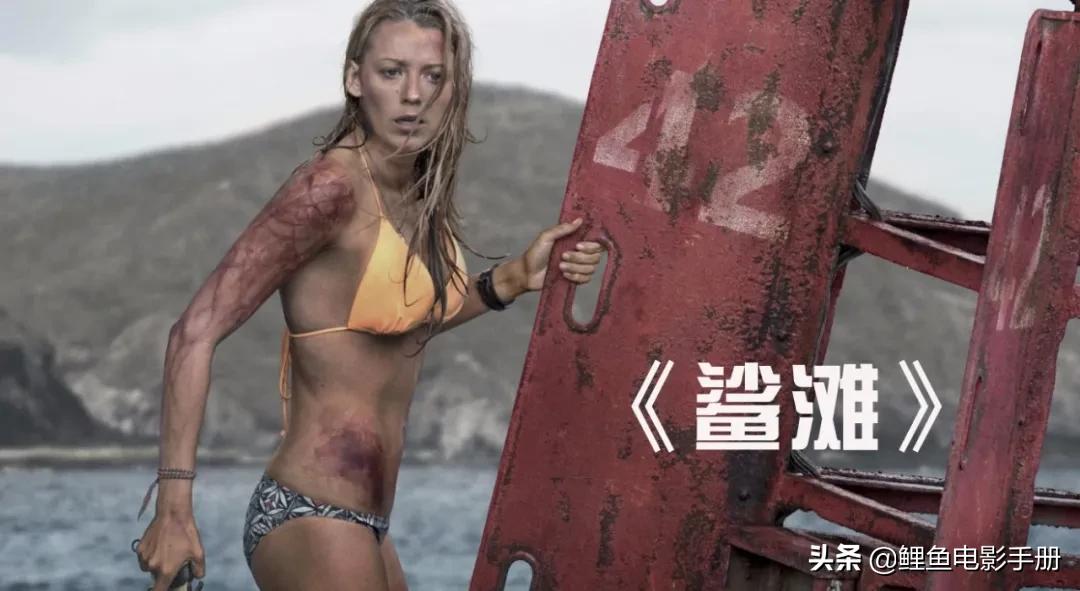 前方终点死路一条，僵尸怪兽杀人狂与君相伴，恐怖之旅电影指南