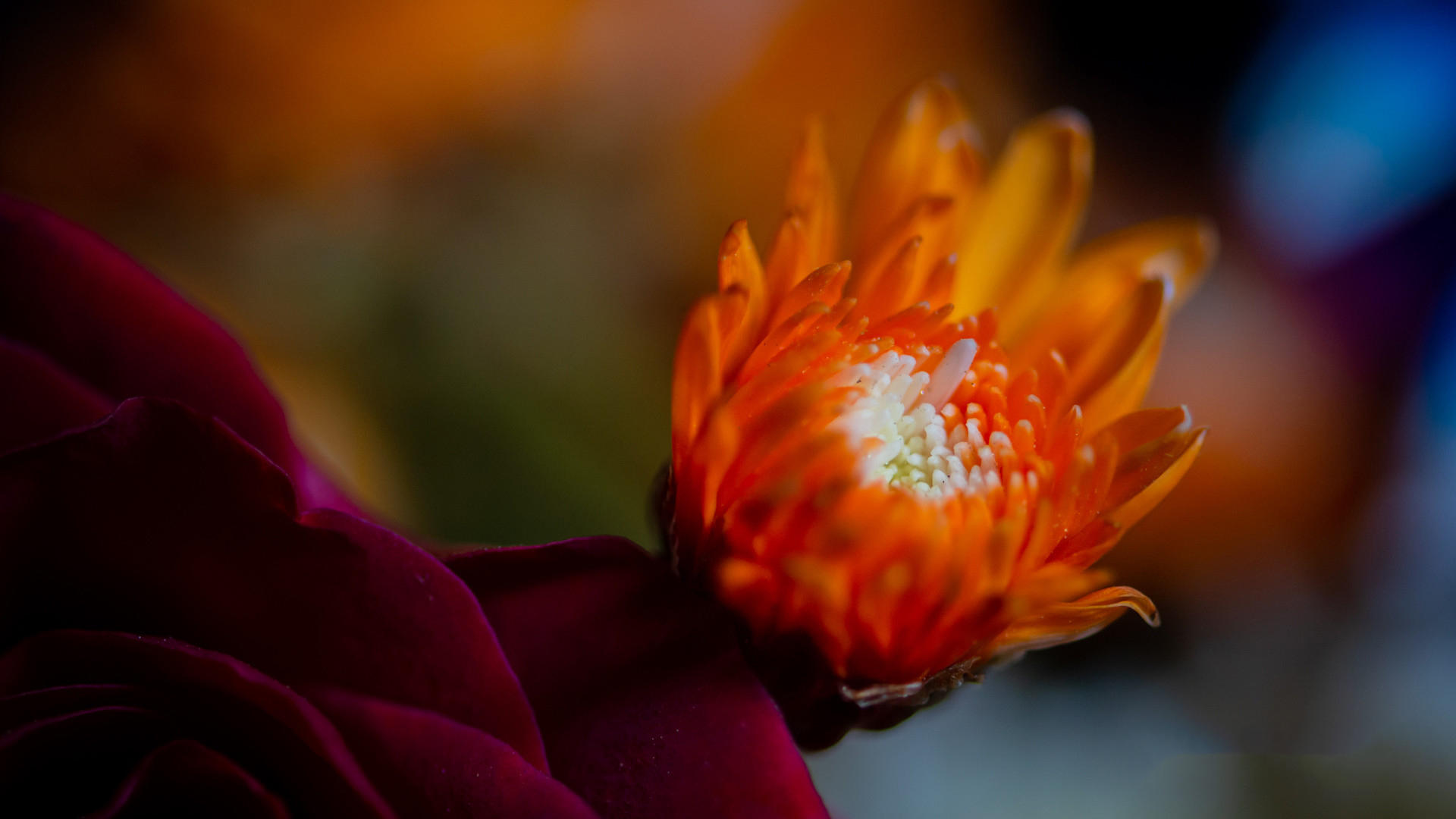 摄影焦距的选择,摄影镜头焦距知识