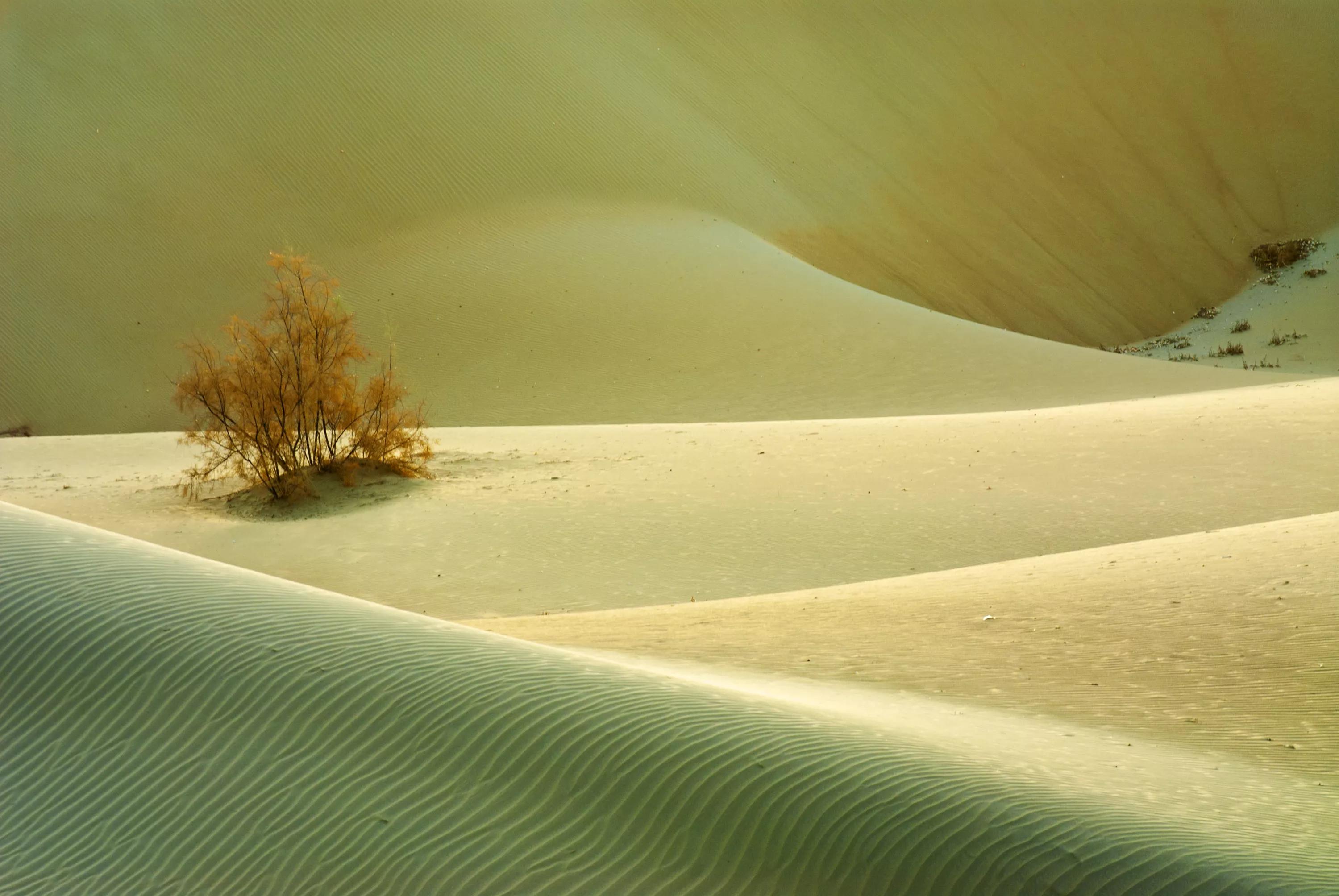 生命最后一个阶段,生命的另一种活法