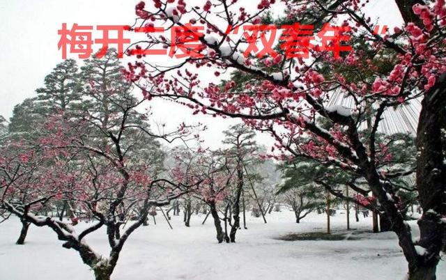 今年闰月双春年好不好,今年是双春闰年好不好