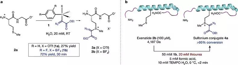 nature蛋白质识别,nature蛋白质作用