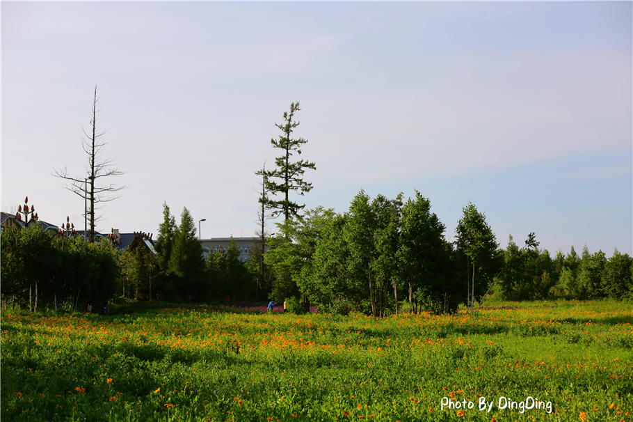 避暑就去这些山水古镇,长白山二道白河镇游玩地图