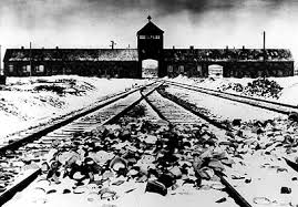 直面困苦，永不言弃！在首届奥斯威辛黑拳赛中夺冠的波兰拳王