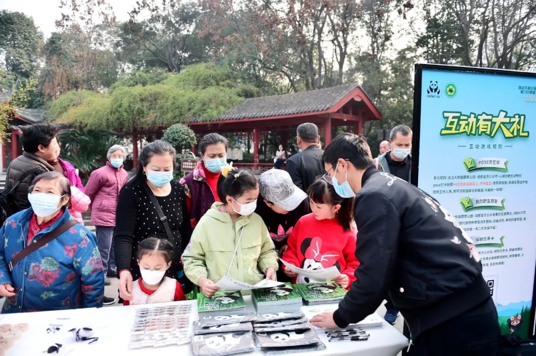 来成都看大熊猫攻略,成都看熊猫旅游攻略来了