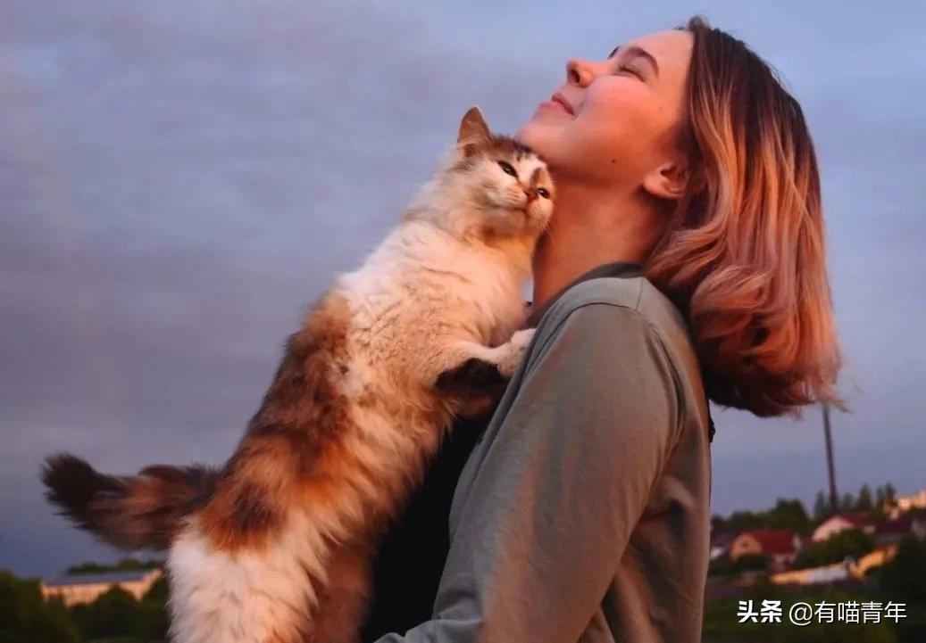 医生说我家猫很有性格,医生说我的猫有点傻