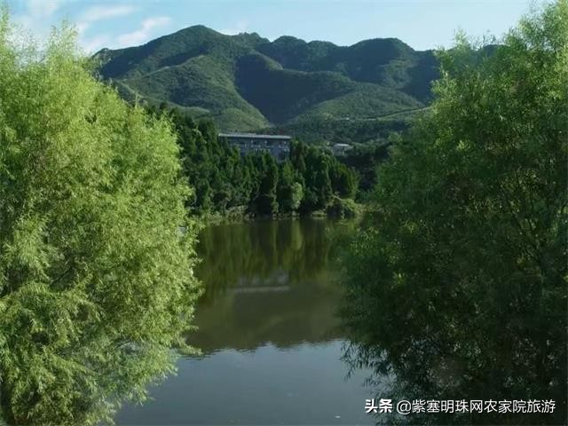 梨木台景林农家院,梨木台景林农家院直播