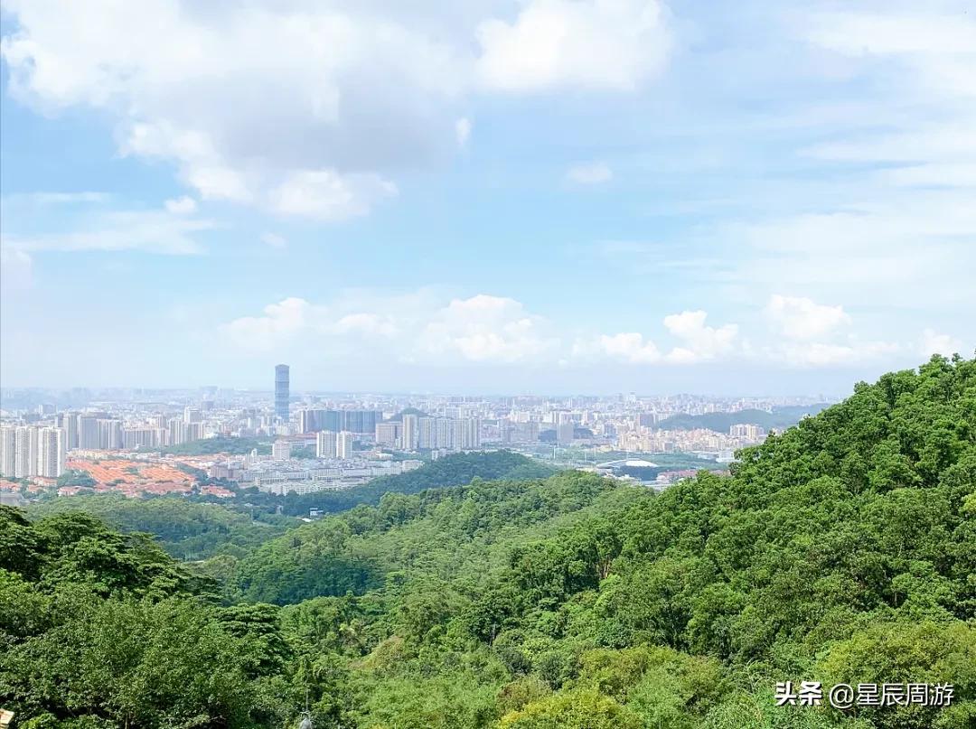 鑾茶姳灞卞簞涓滆帪,涓滆帪鑾茶姳灞卞簞鍦ㄥ敭鍒