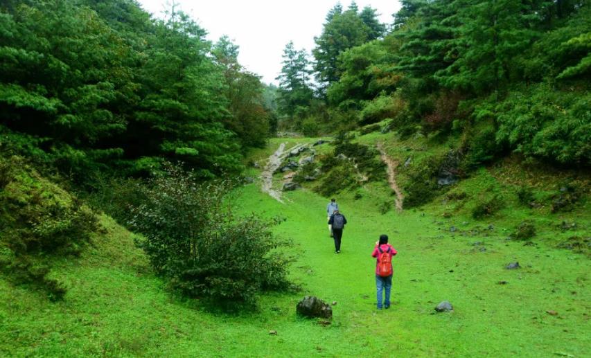 六月回忆儿时校园,六月回忆童年