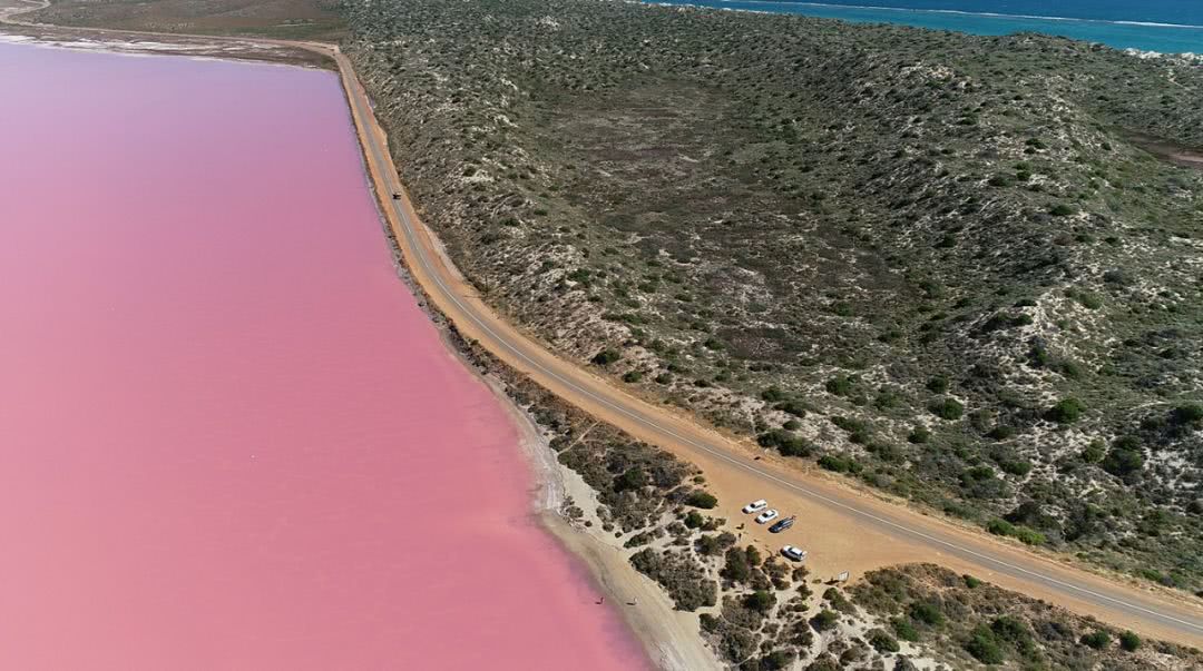 这地方是男人天堂,我们的大宝马也怕了