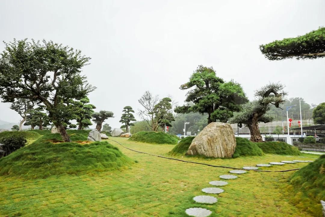 在大山深处幽静绝美的村落,深藏大山中的村落