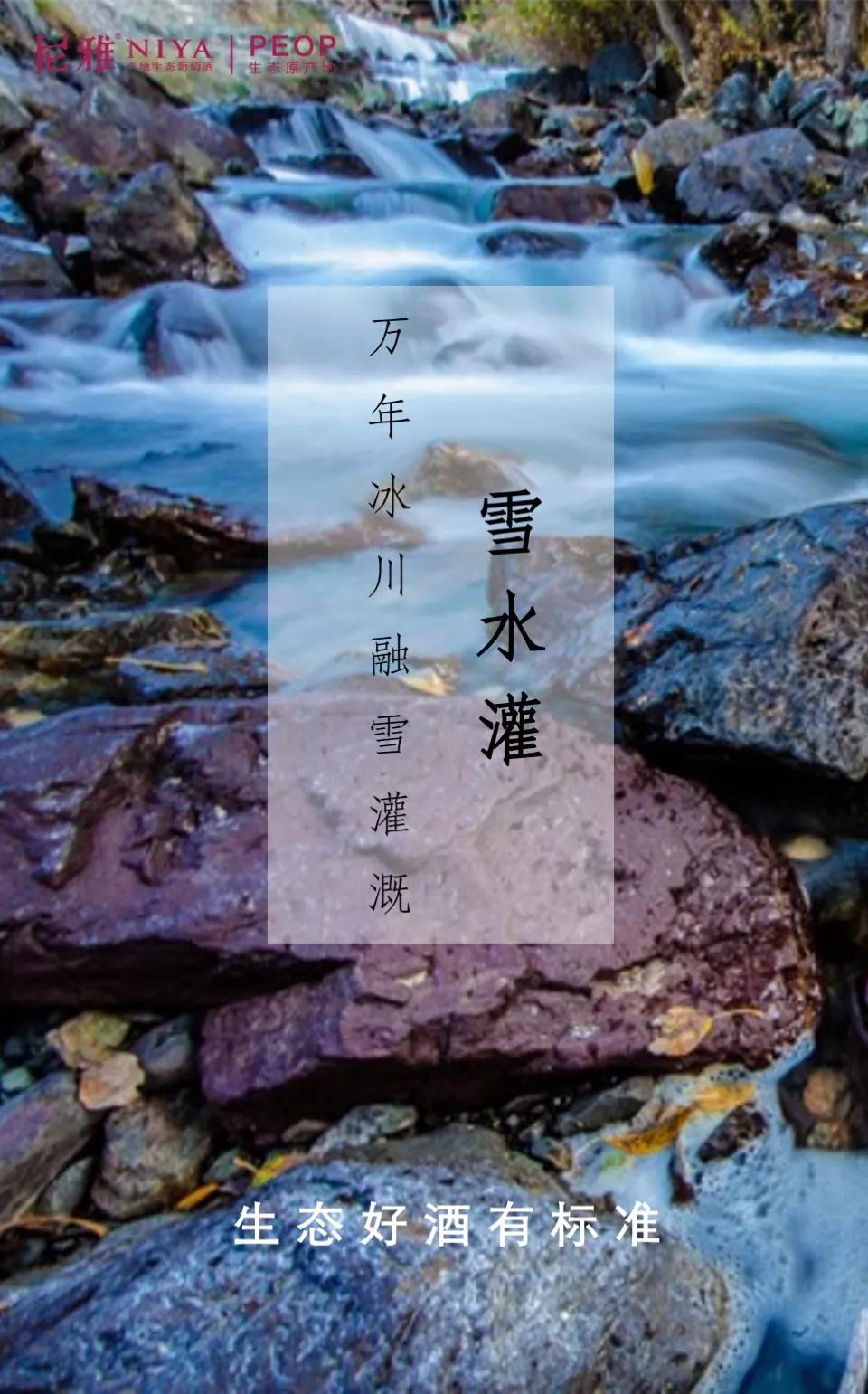 尼雅五星东方白酒,生态好酒自然柔和