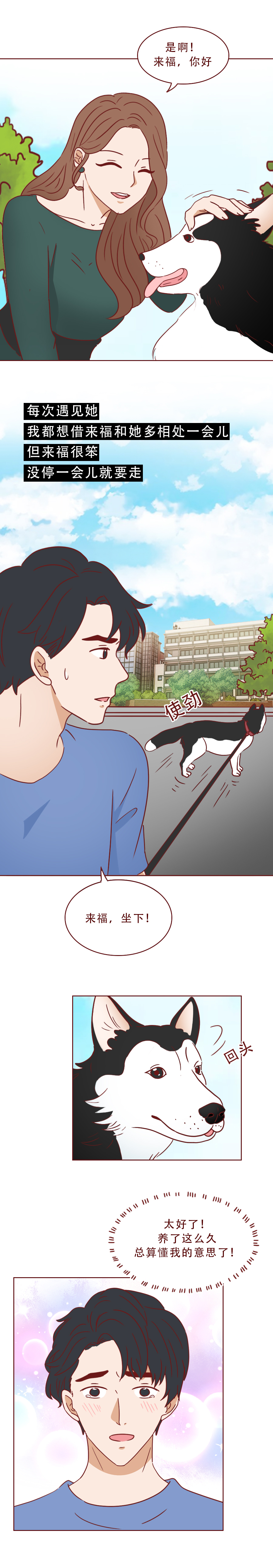 捡了一只猫好像抑郁了怎么办,一只抑郁症猫咪被救赎的故事