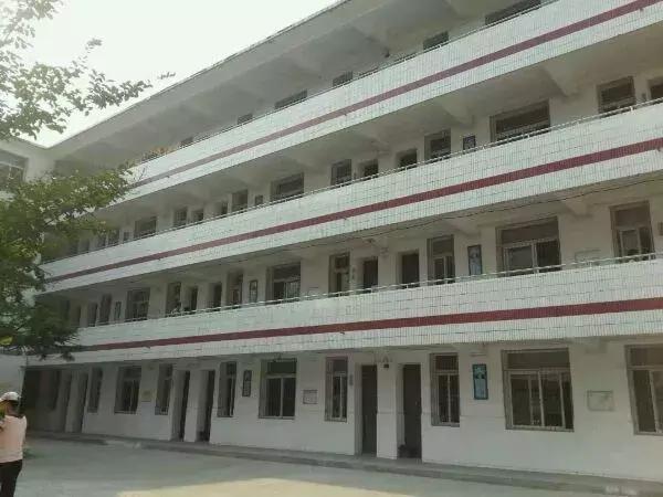 庐阳高中2017分数线,庐阳高中录取分数线2019