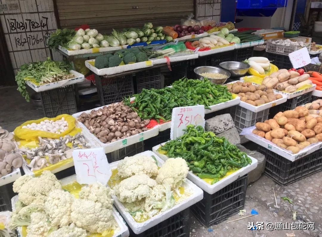 通山最便宜的菜去哪里买,通山卖菜批发市场