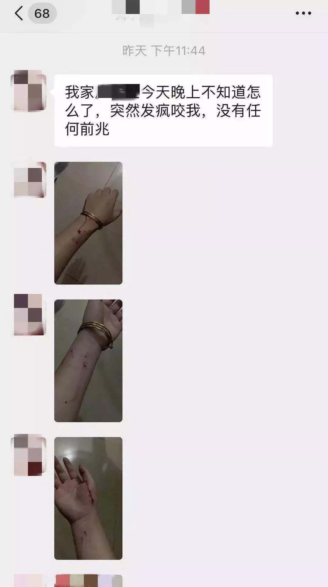 养了5年的猫居然让我丢掉,我养了七只猫