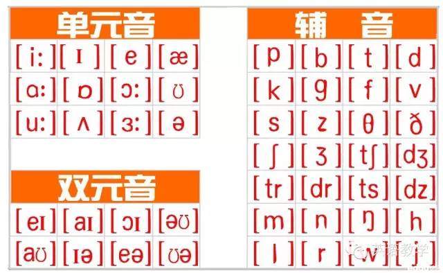 手把手教你学音标,又好记又好用的音标教程