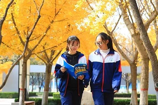 双减教育给学校带来了哪些影响,双减落地后学校该怎么做