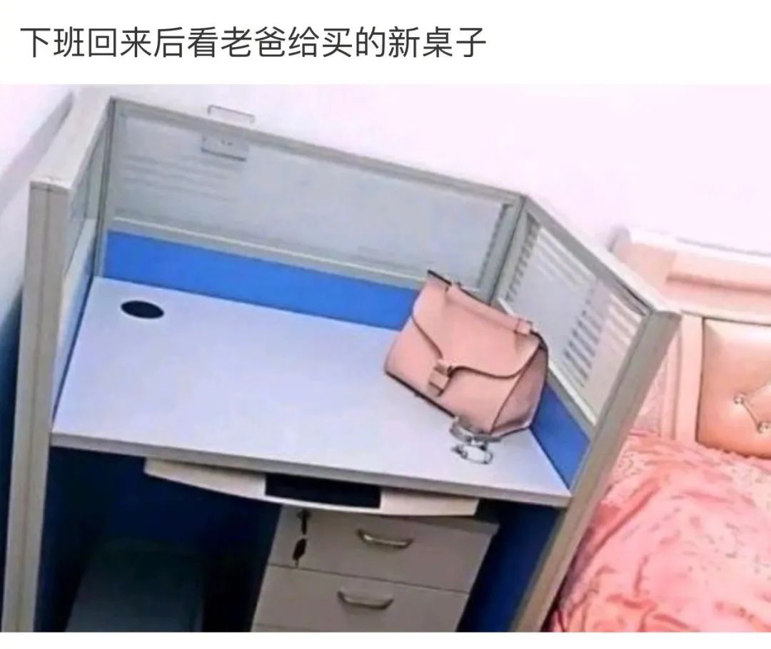 看到铲屎官终于回家，立即安心地睡着了|冷段子1986