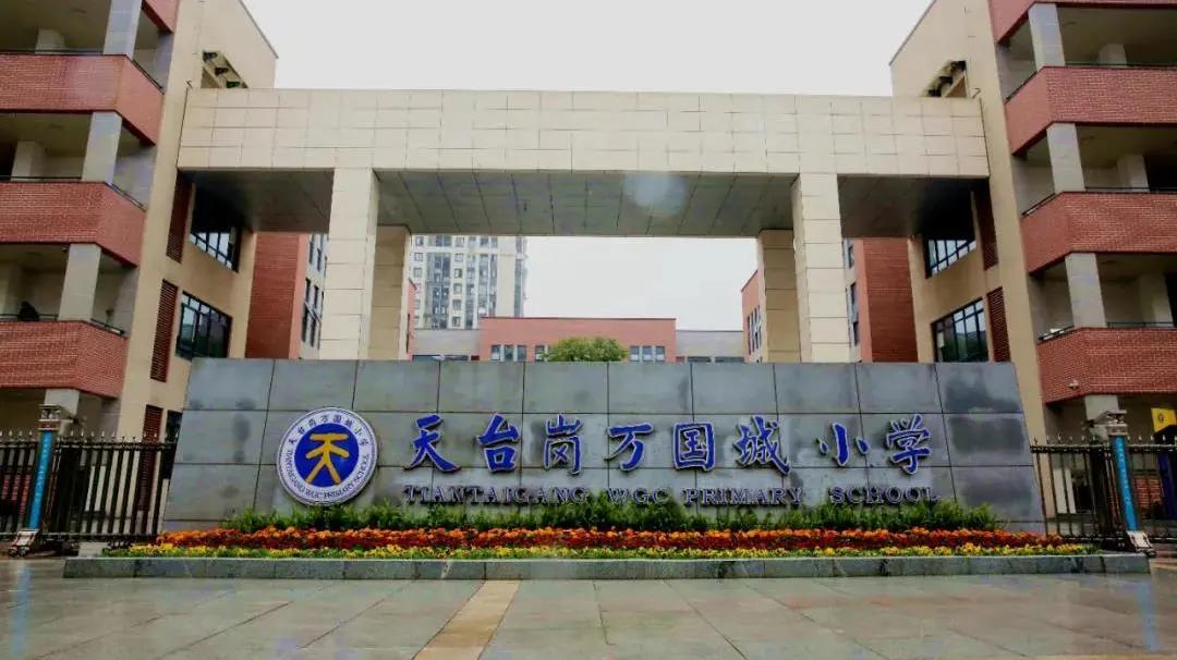 南岸区教育集团有哪些,南岸区小学汇总