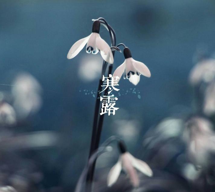 古人咏寒露的诗词,寒露古诗词鉴赏