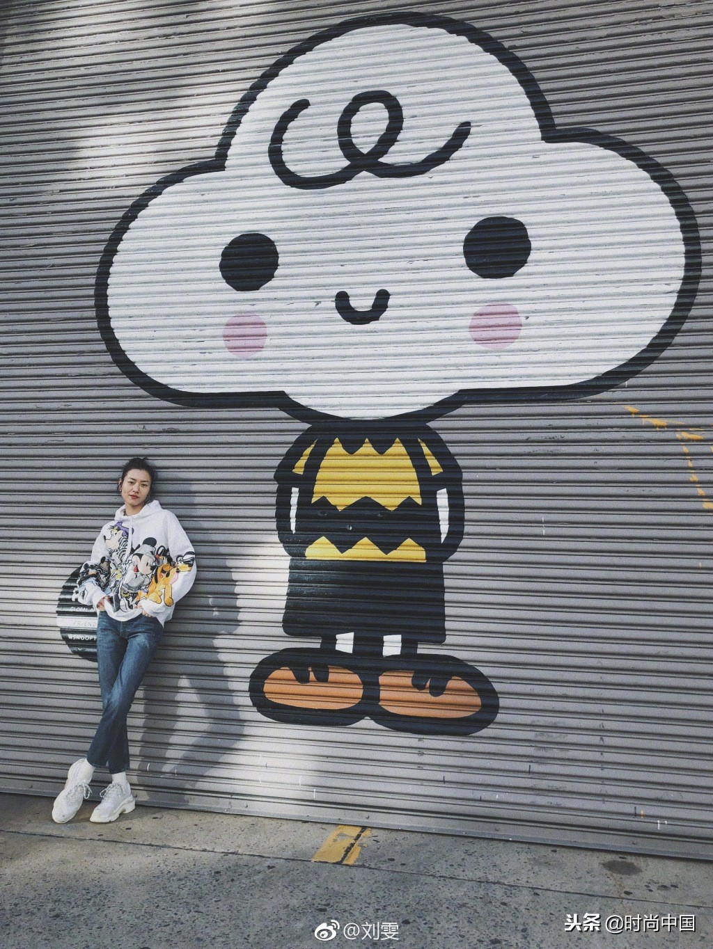 倪妮同款小猫咪,倪妮李宇春奇妙的动物