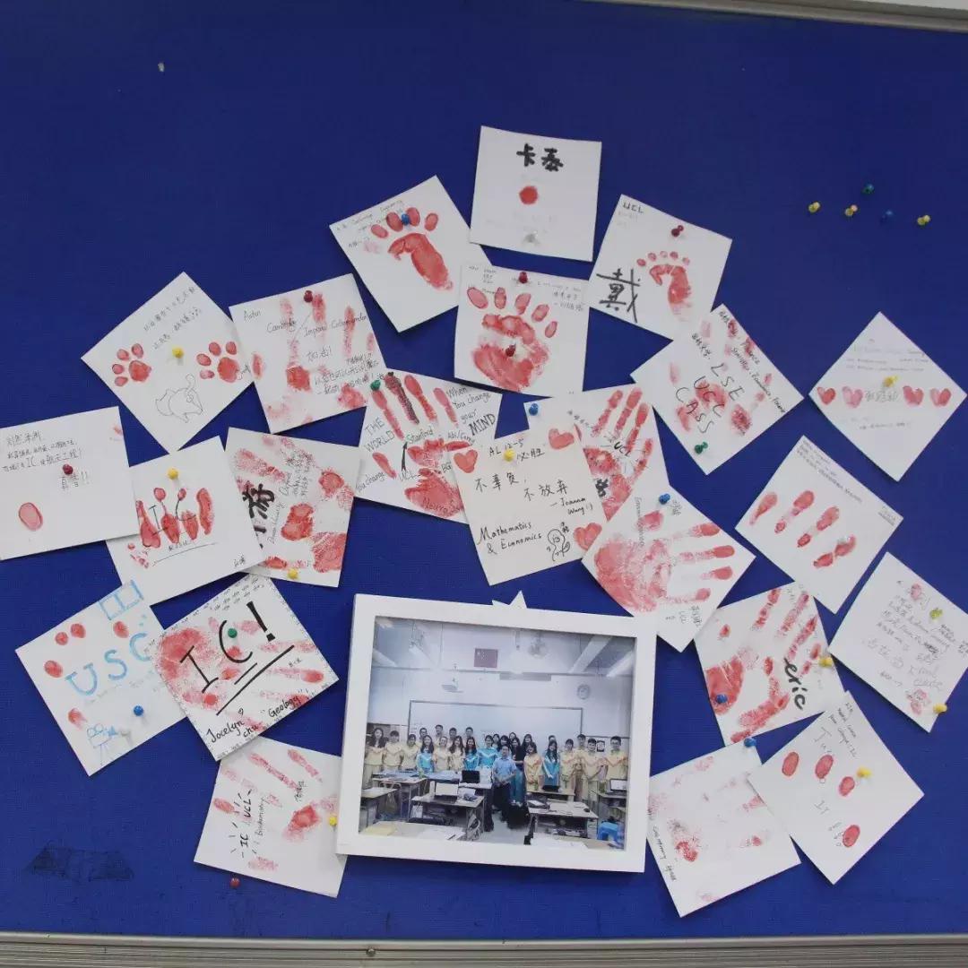 博实乐顺德碧桂园实验学校,广州碧桂园博实乐国际学校怎么样