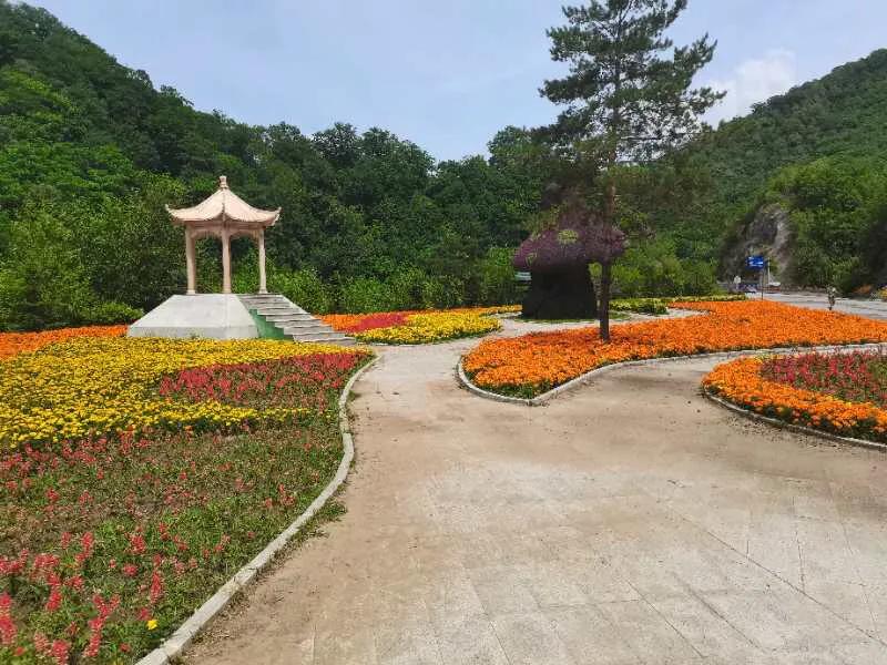 产业兴环境美乡风淳,产业兴百姓富乡村美