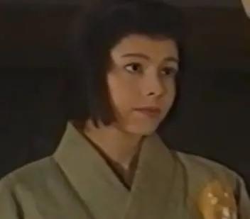 丰臣秀吉正妻宁宁真实姓氏,关于丰臣秀吉宁宁的电视剧