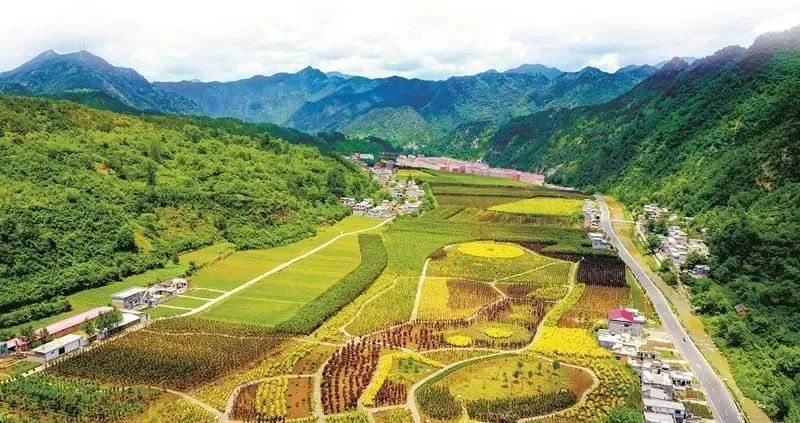 走向我们的小康生活视频如何制作,走向我们的小康生活中国画