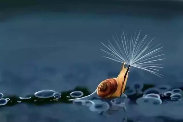 凤凰涅槃浴火重生图片,凤凰涅盘浴火重生的意思是什么