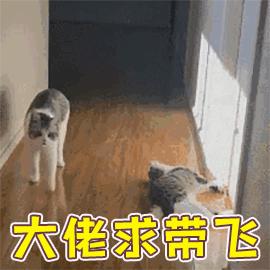 燕窝究竟有没有用,燕窝到底有没有必要去买