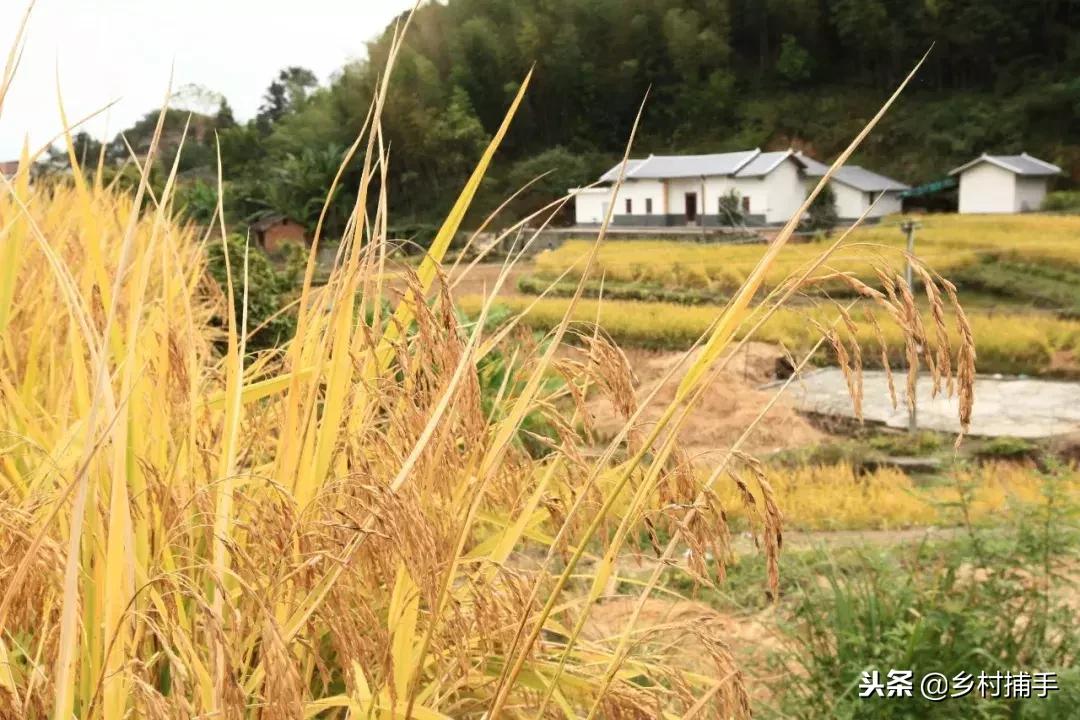 南粤古驿道拍摄后记,2018南粤古驿道展示