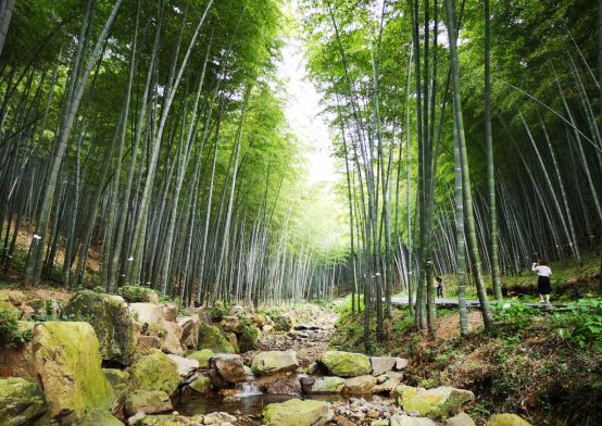 有景有画的诗,有景有情的诗写秋天的