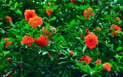 越看越美最有女人味的三大星座女,40岁最不显老的星座女