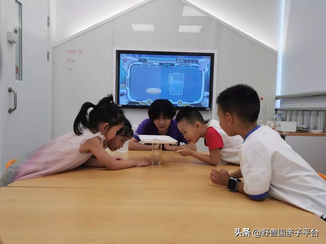 stem教育创始人,stem美国大学