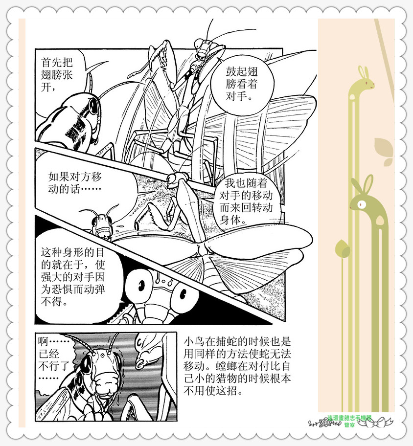 昆虫记法布尔动画片,昆虫记法布尔全套