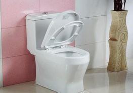 墙排马桶和地排马桶优缺点,2个卫生间如何选择马桶