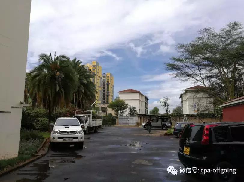 这个野奢的国度,欧美、日韩人都爱去,为何我们国家没人去?