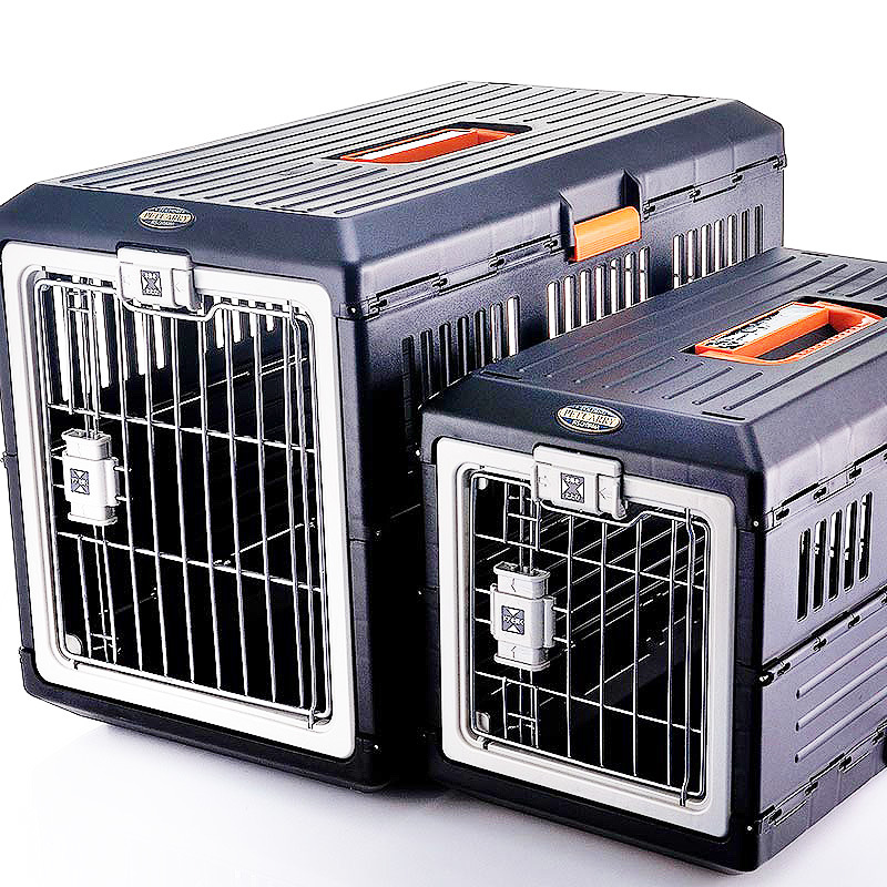 空运狗狗健康吗,空运狗狗要去机场接吗