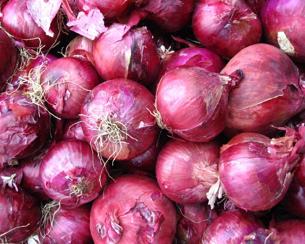 买洋葱是紫的好还是白的好,买洋葱选白皮还是紫皮