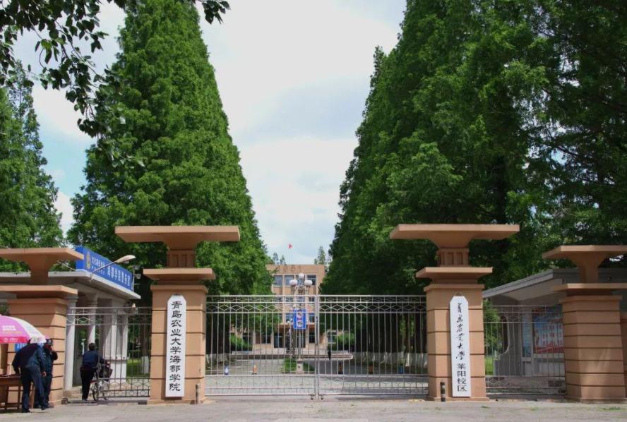 山东喜迎一所“本科”大学,实力雄厚,深受“中等生”青睐