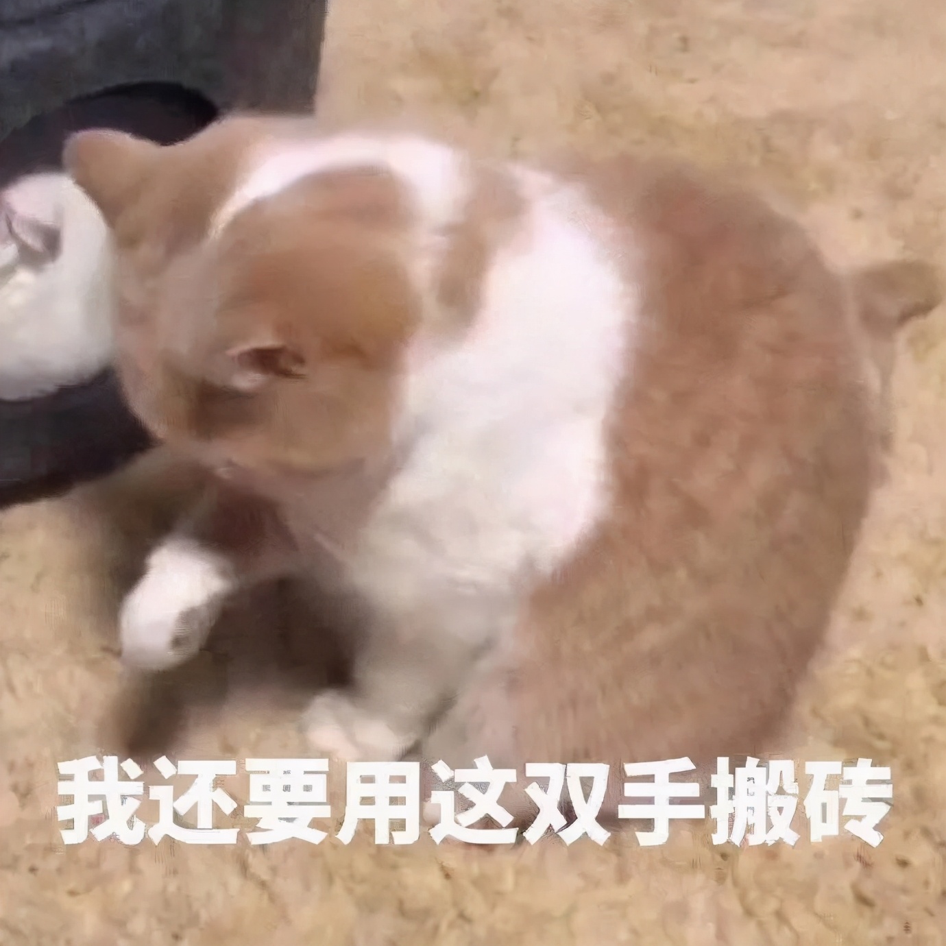 100个稀奇古怪的赚钱点子,最不可思议的搞钱方式