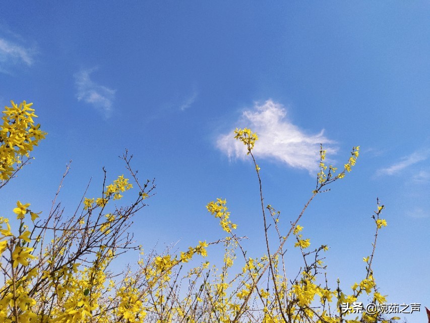 清醒的女人活得更通透,清醒的女人视频
