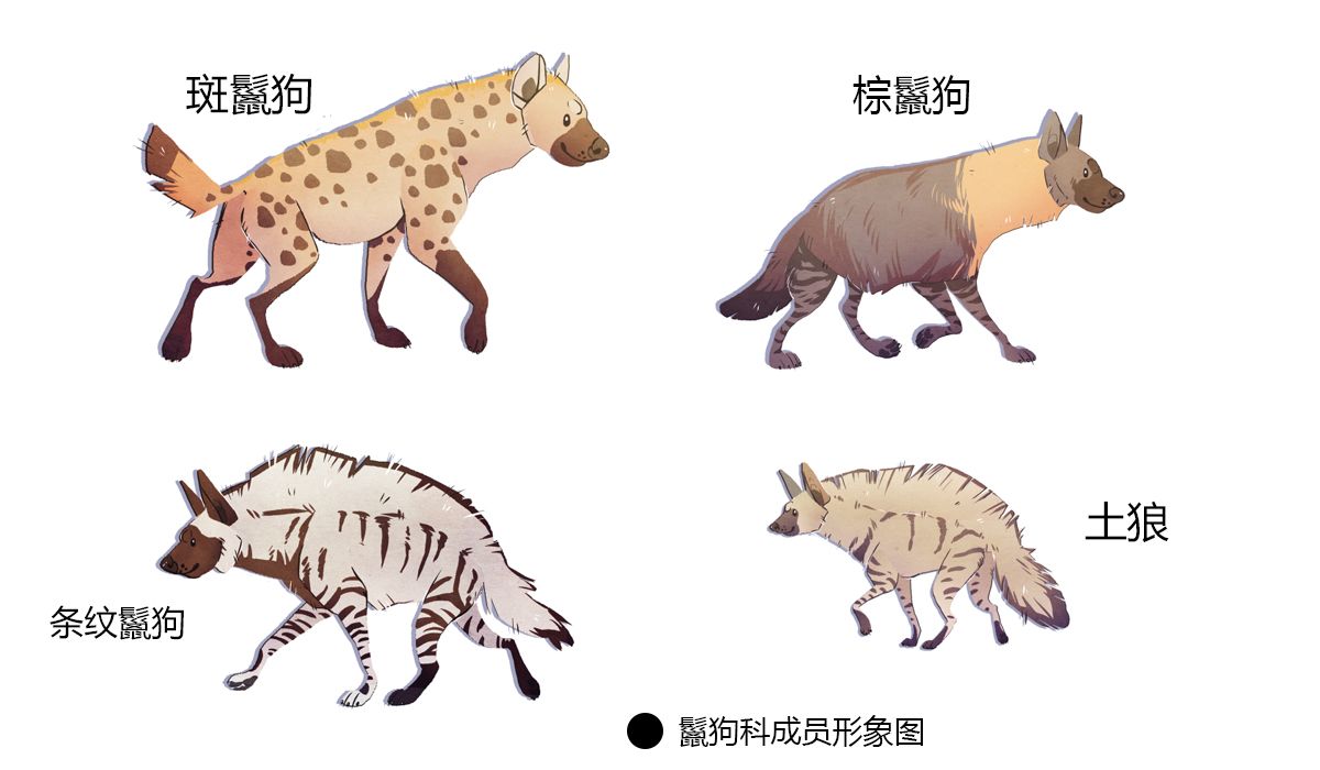 自然探秘所|《狮子王》中的“恶棍”？别再黑它们啦