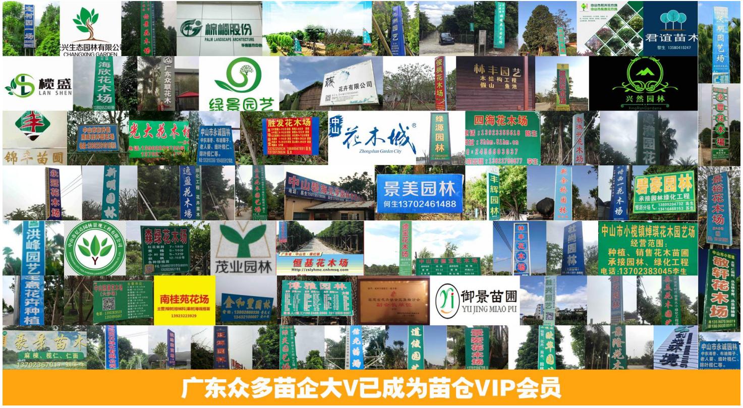 苗仓接受《中国花卉园艺》专访:苗木行业线上营销如何升级?